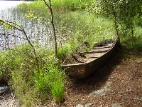 Thumbs/tn_Wrack (Medium).jpg